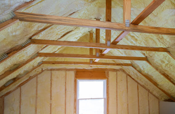 Best Insulation Maintenance and Repair in Lake Hiawatha, NJ