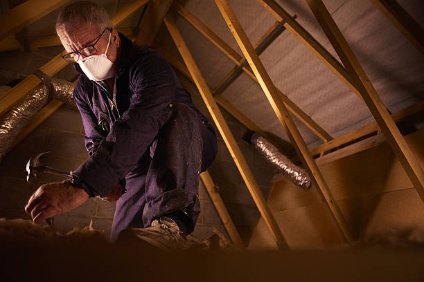 Best Geographic-Specific Insulation Services in Lake Hiawatha, NJ