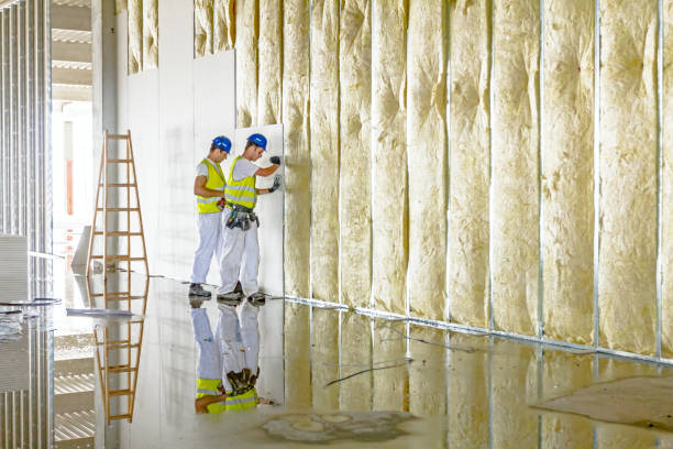 Best Commercial Insulation in Lake Hiawatha, NJ